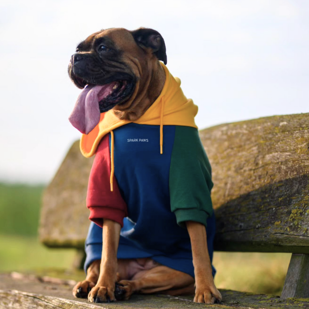 Color Block Dog Hoodies