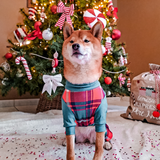 Dog Christmas Pajamas