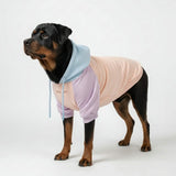 Cotton Candy Dog Hoodie
