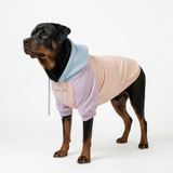 Color Block Dog Hoodies
