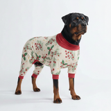 Dog Christmas Pajamas