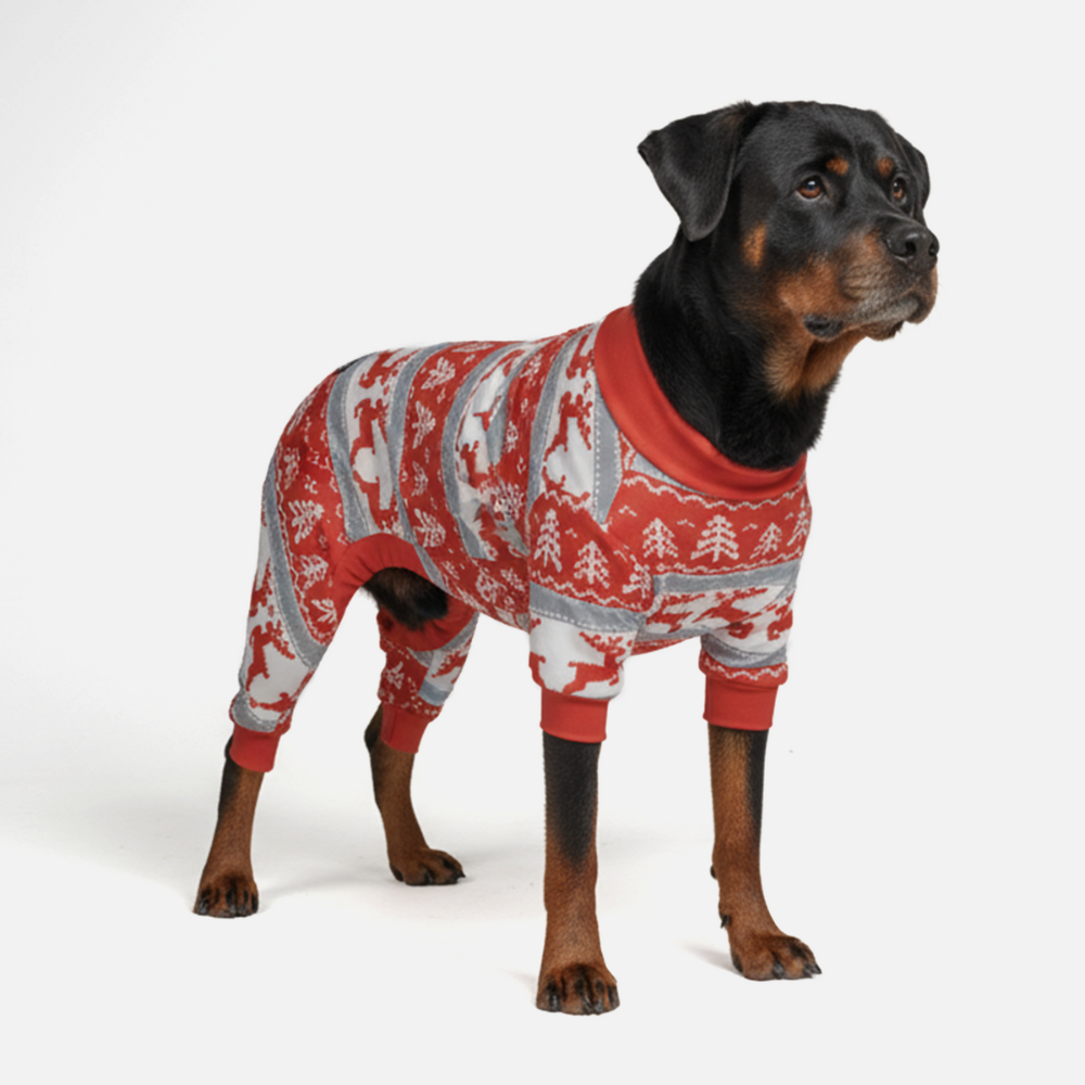 Dog Christmas Pajama - Winter Wonderland