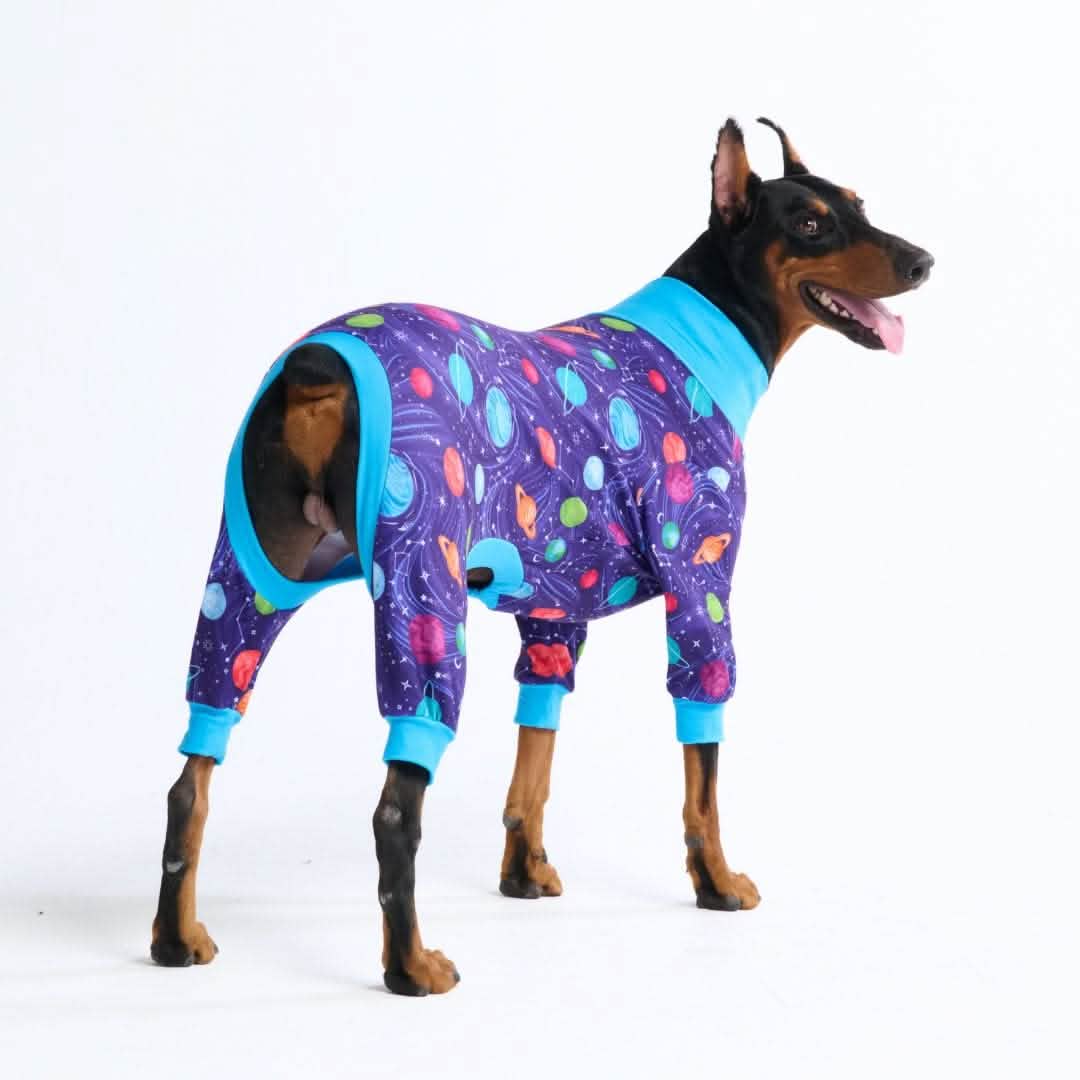 Dog Pajama Prints