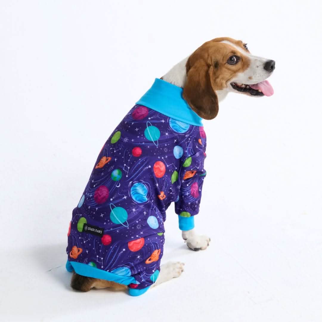 Dog Pajama Prints