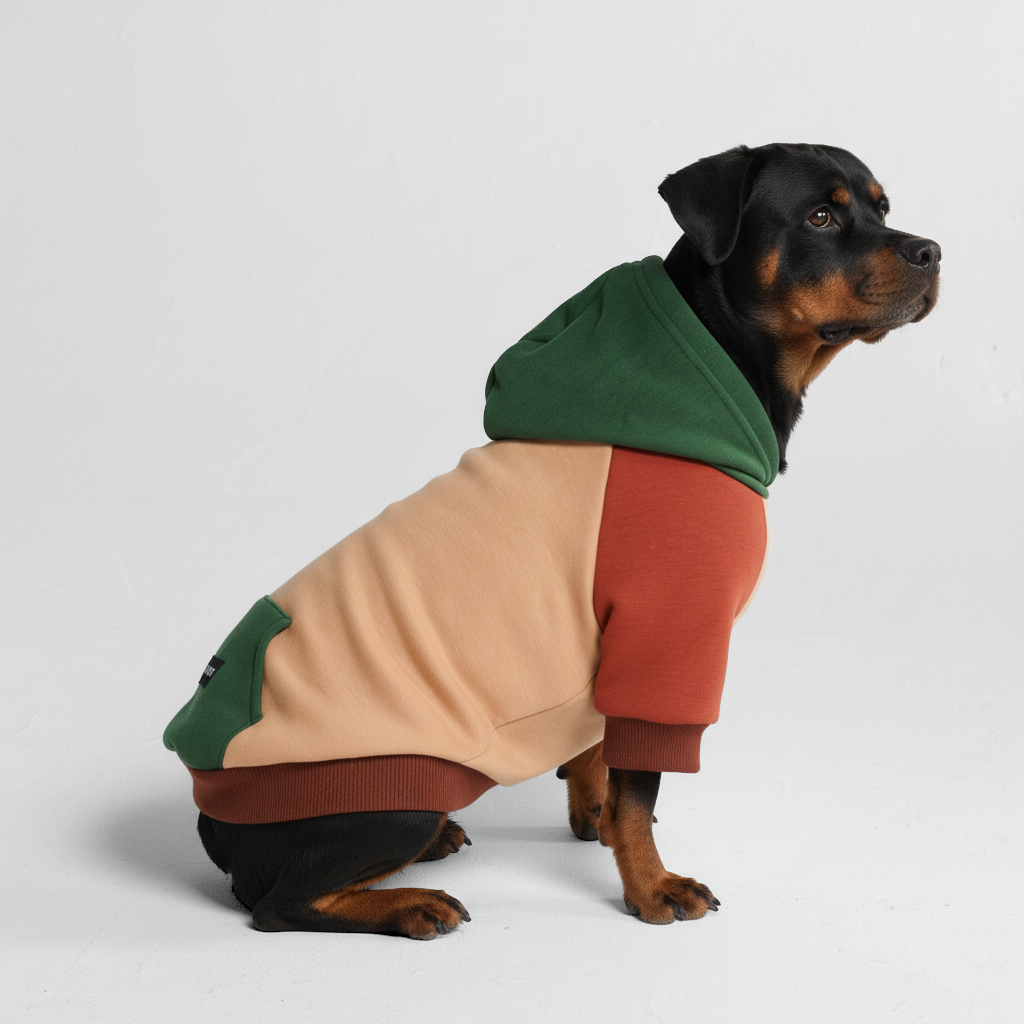 Color Block Dog Hoodies