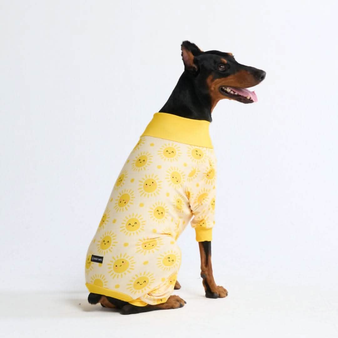 Dog Pajama Prints