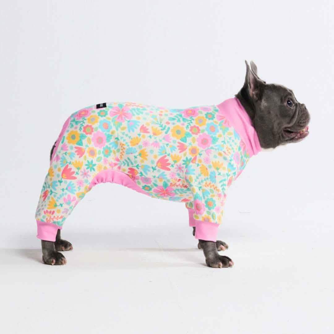 Dog Pajama Prints