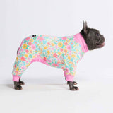 Dog Pajama Prints