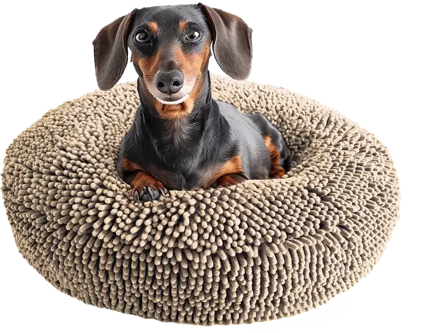 Cloud K-9 Bed – Cloud Bed for Dogs