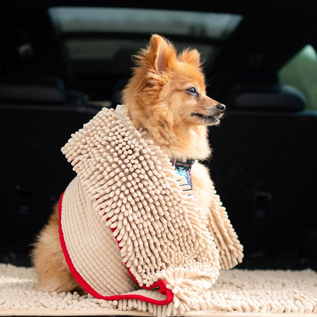 Doggy Dryer Shammy Towel – The Best Dog Towel Available!