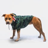 Dog Hoodie Prints