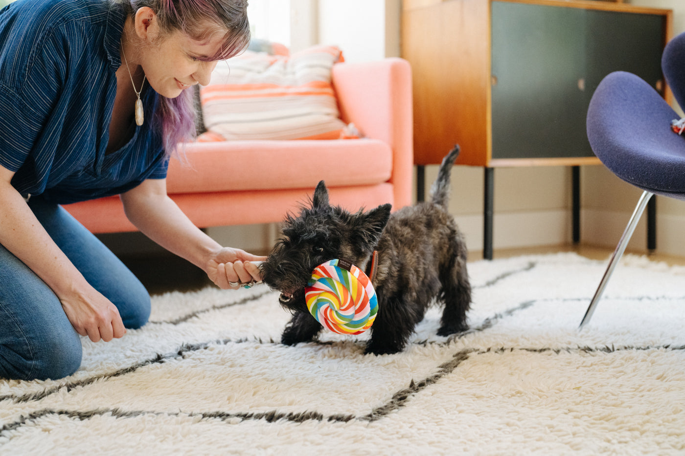 Snack Attack Collection