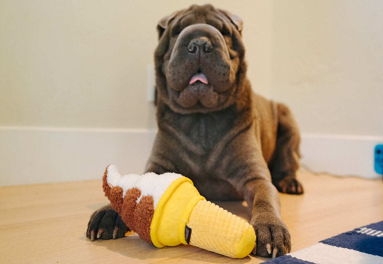 Snack Attack Collection