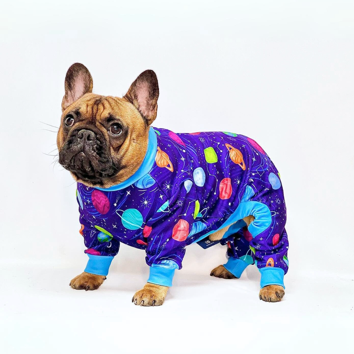 Dog Pajama Prints