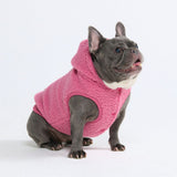 Teddy Sherpa Dog Sweaters