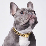Cuban Link Chain Dog Collar - Gold