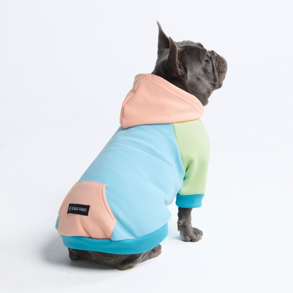 Color Block Dog Hoodies