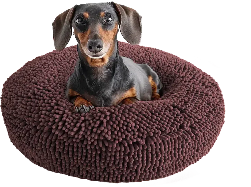 Cloud K-9 Bed – Cloud Bed for Dogs