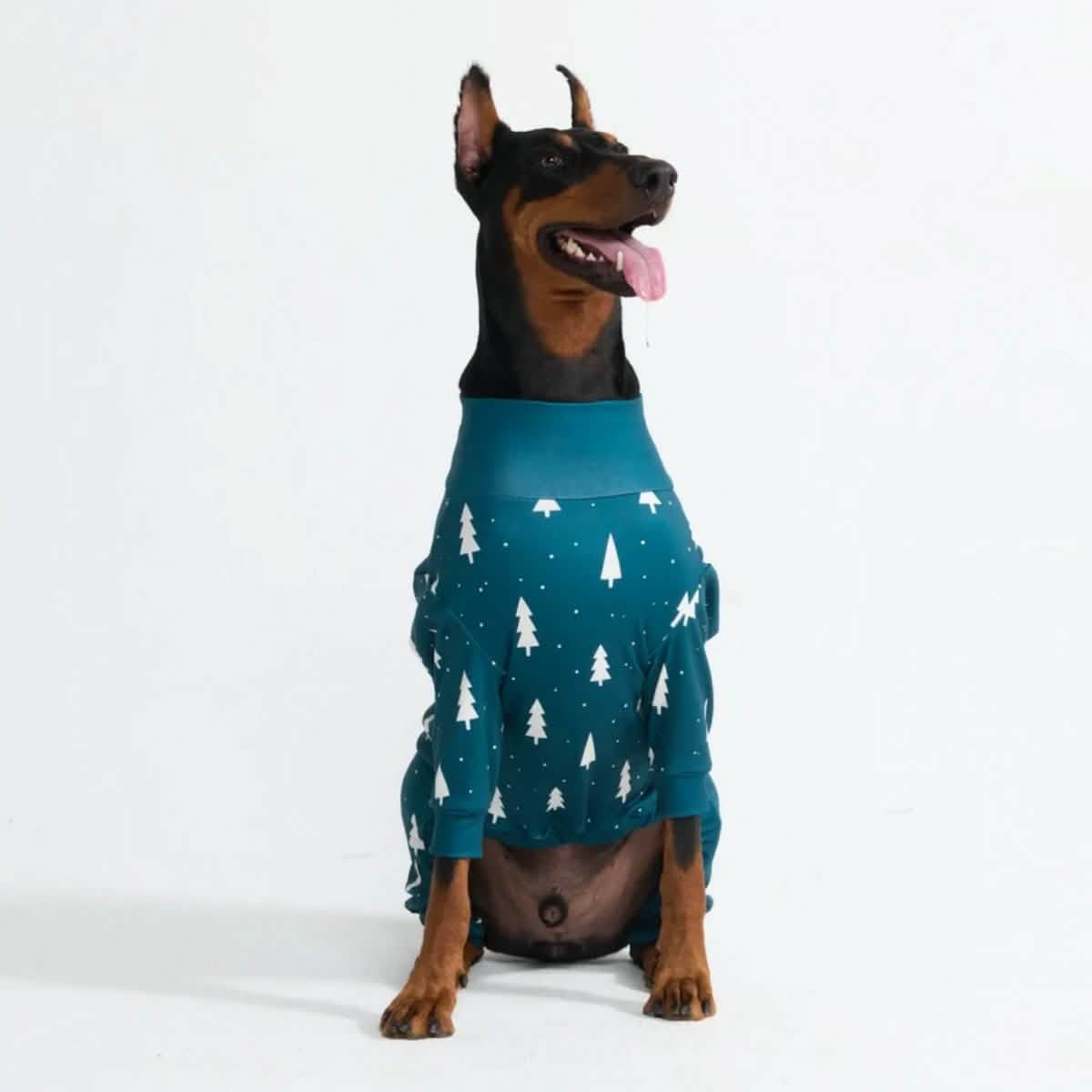 Dog Christmas Pajamas