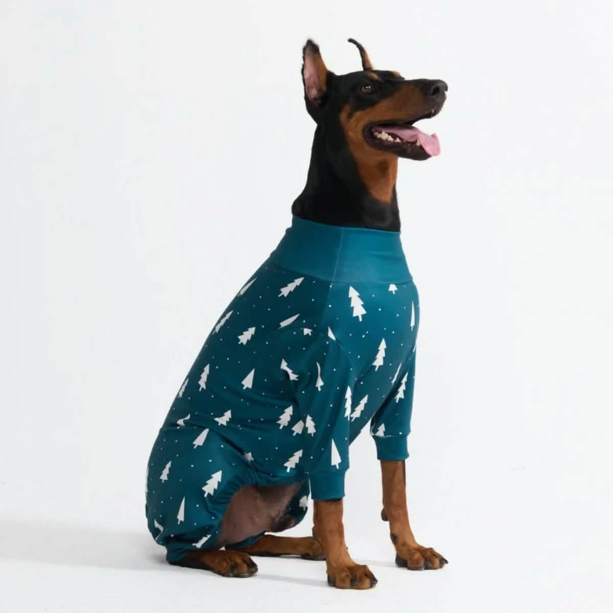 Dog Christmas Pajamas