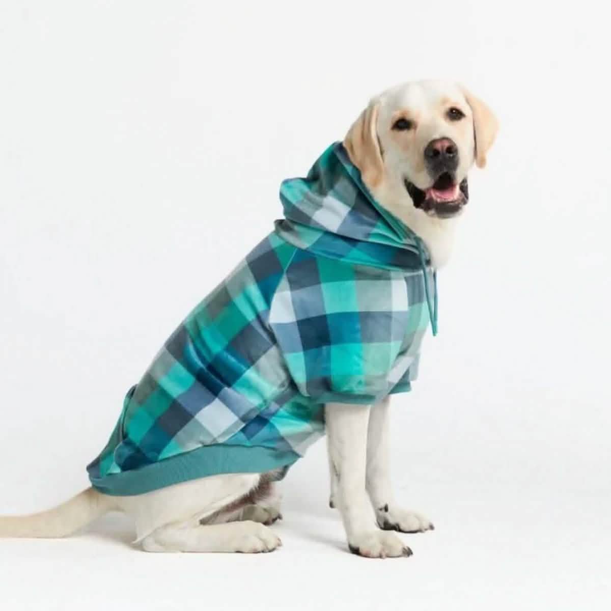 Velvet Dog Hoodie - Turquoise Checkered