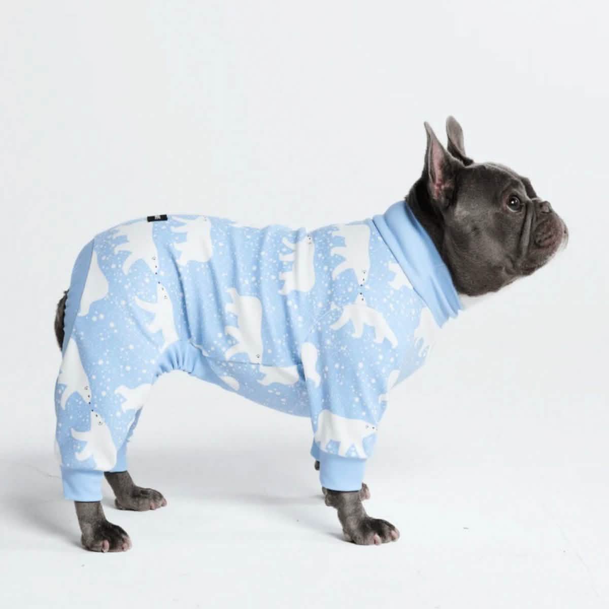 Dog Pajama Prints