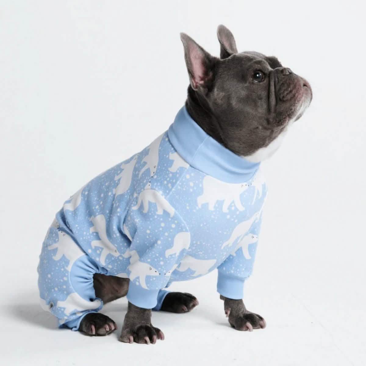Dog Pajama Prints