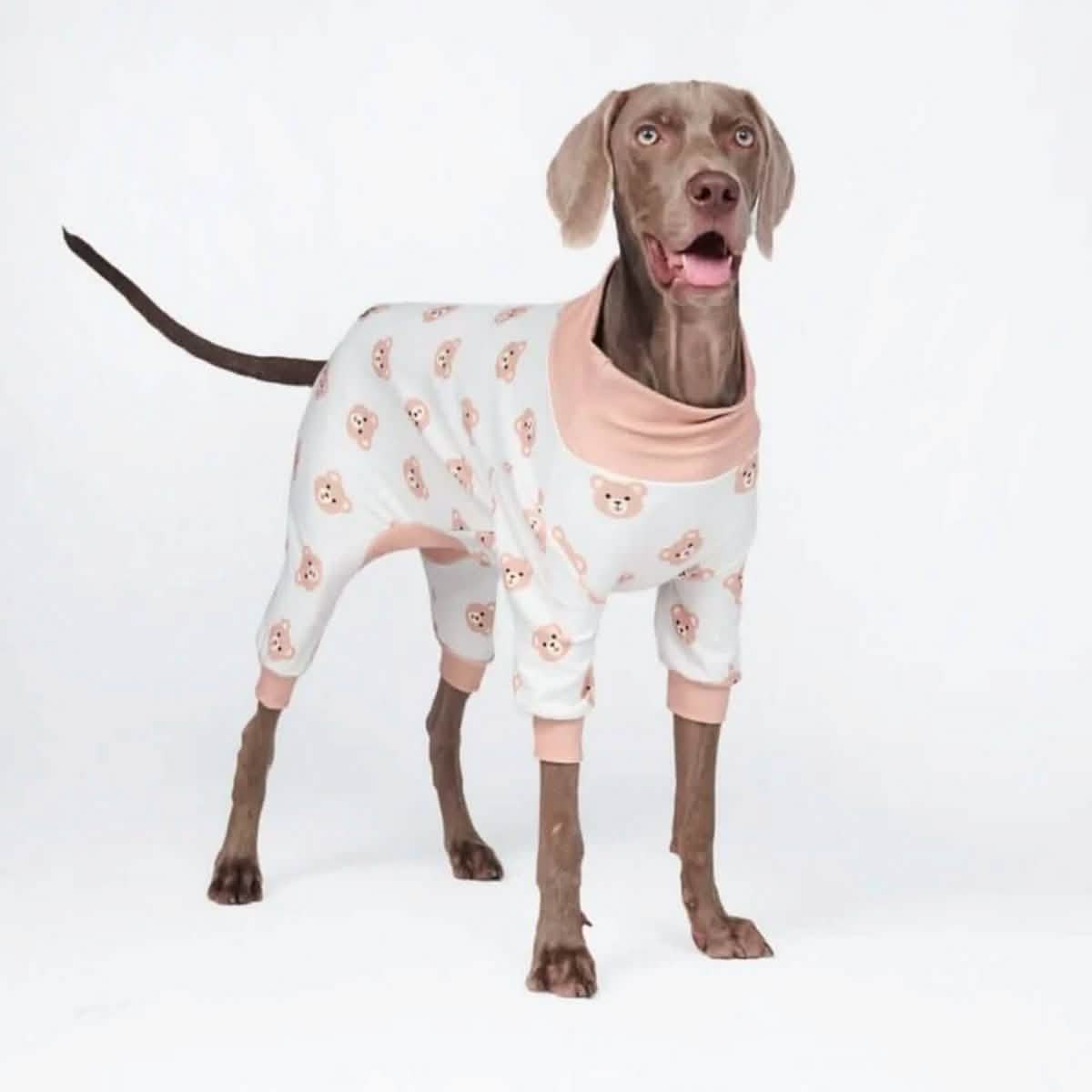Dog Pajama Prints
