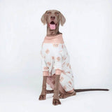 Dog Pajama Prints