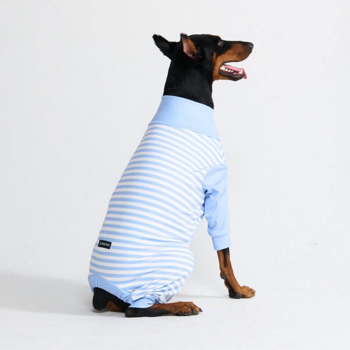 Dog Pajama Prints