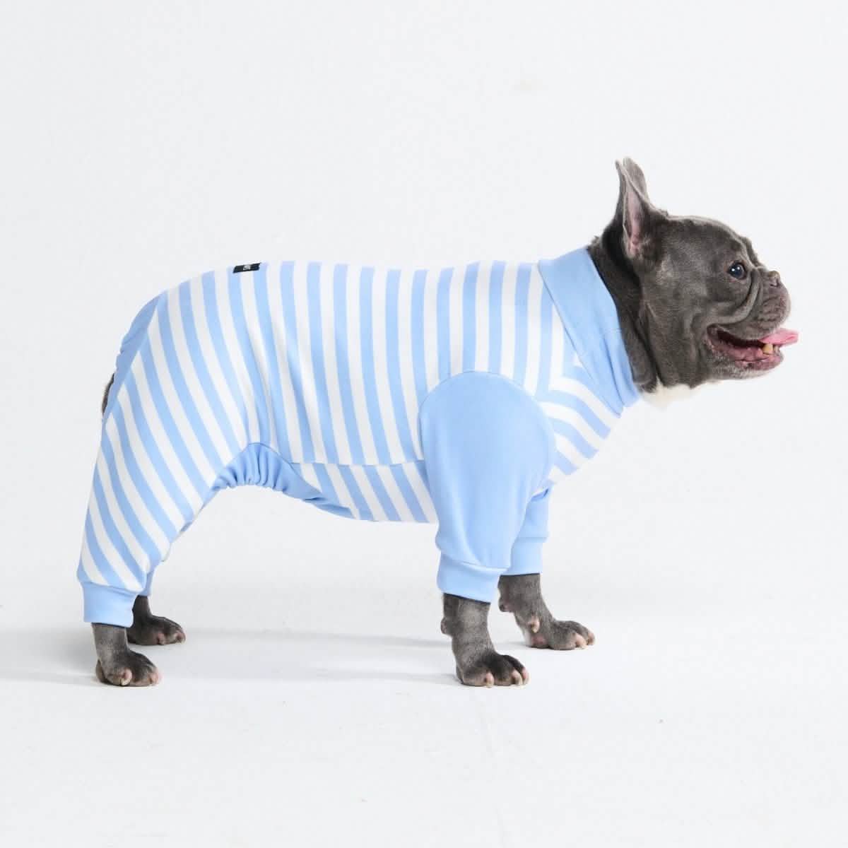 Dog Pajama Prints
