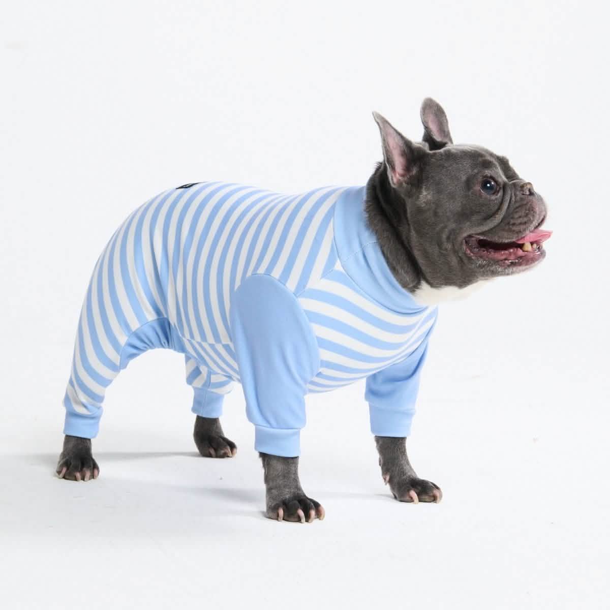 Dog Pajama Prints