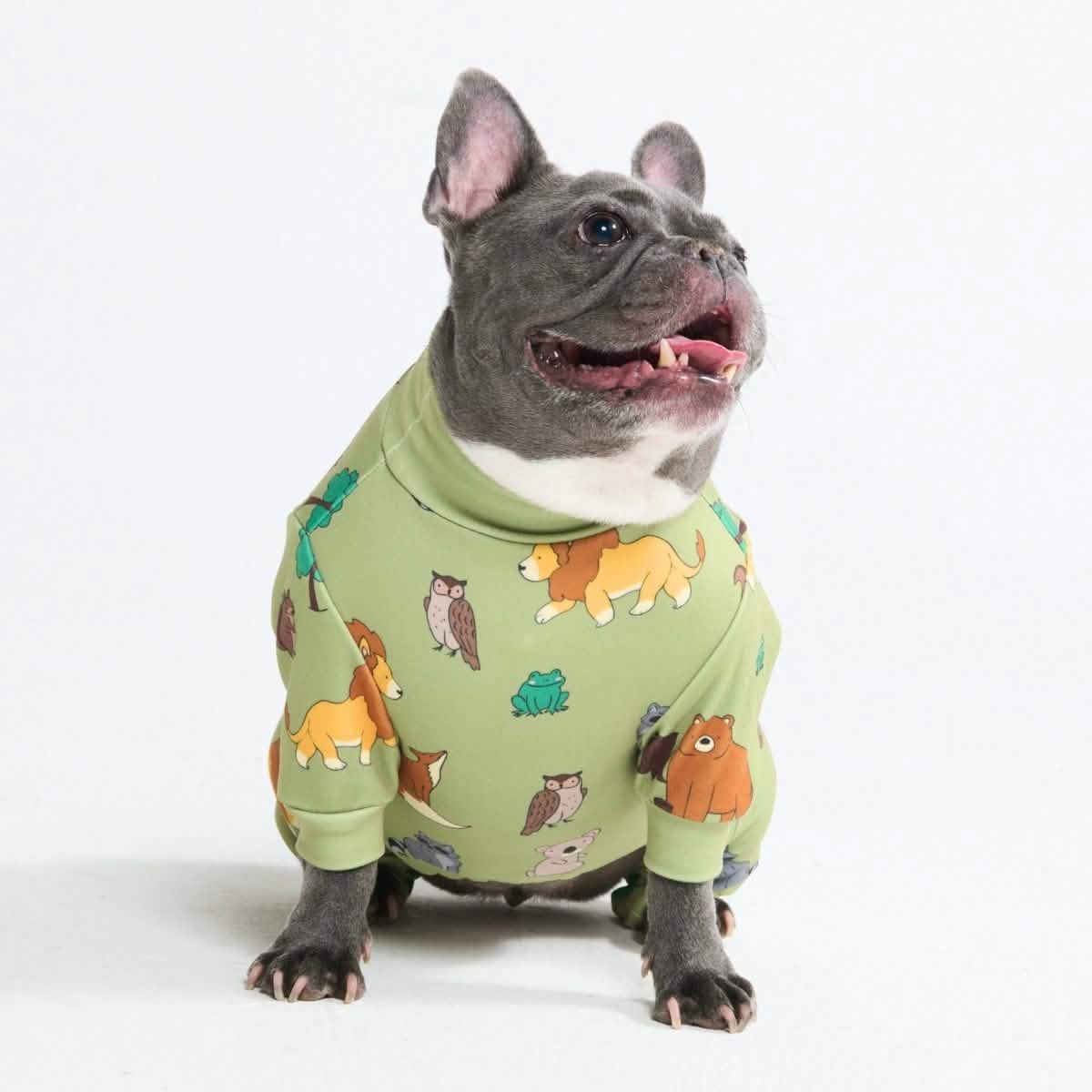 Dog Pajama Prints