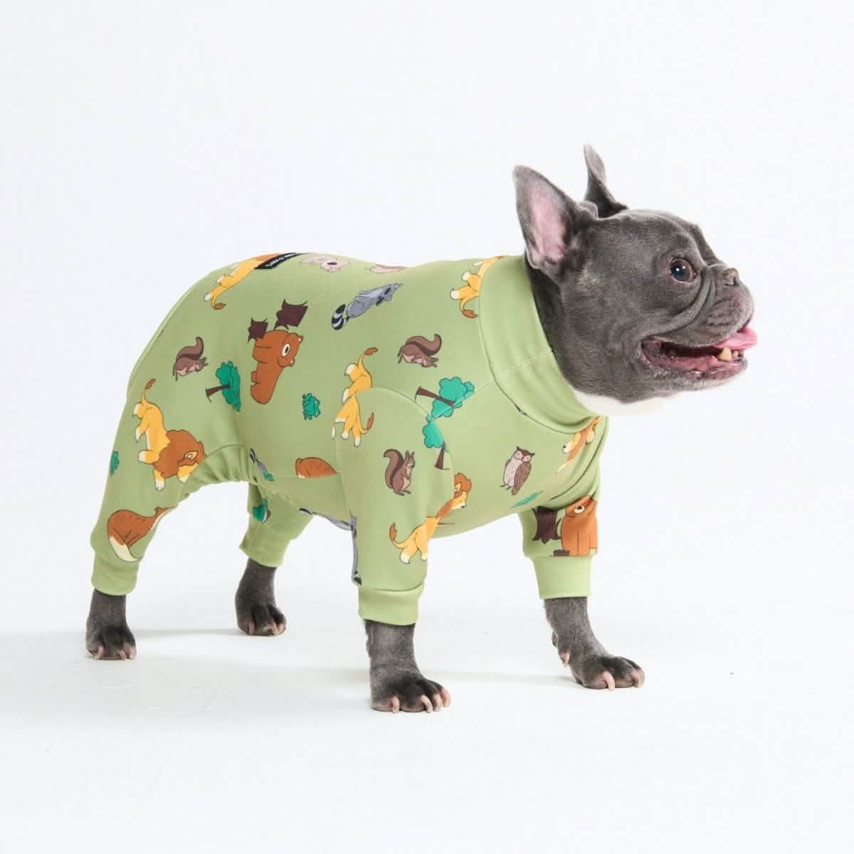 Dog Pajama Prints