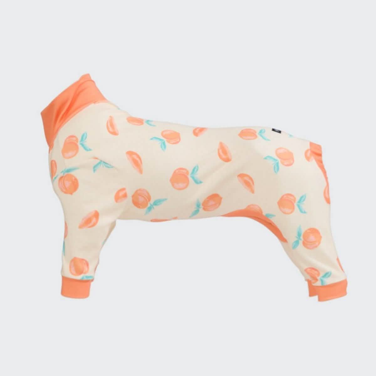 Dog Pajama Prints