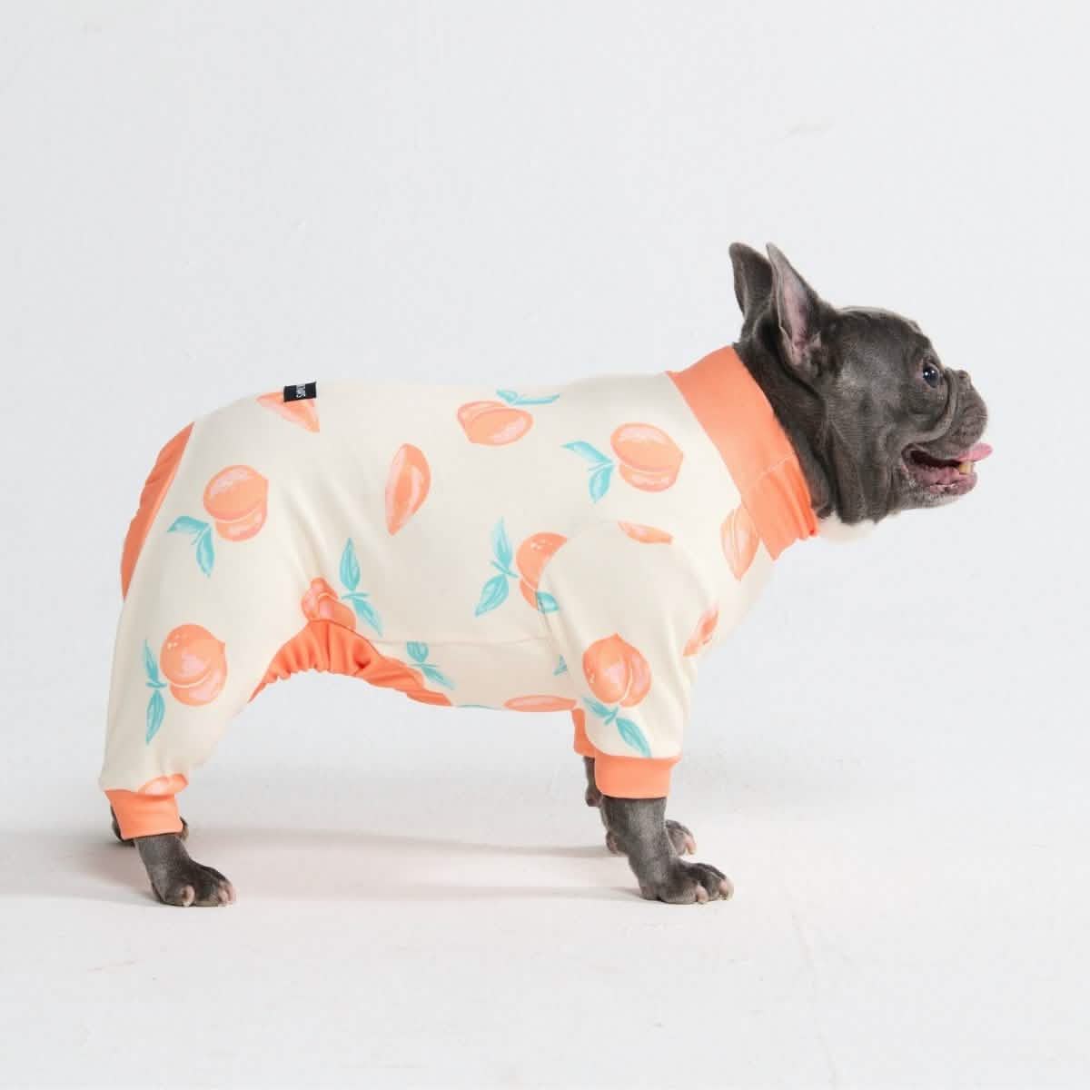 Dog Pajama Prints