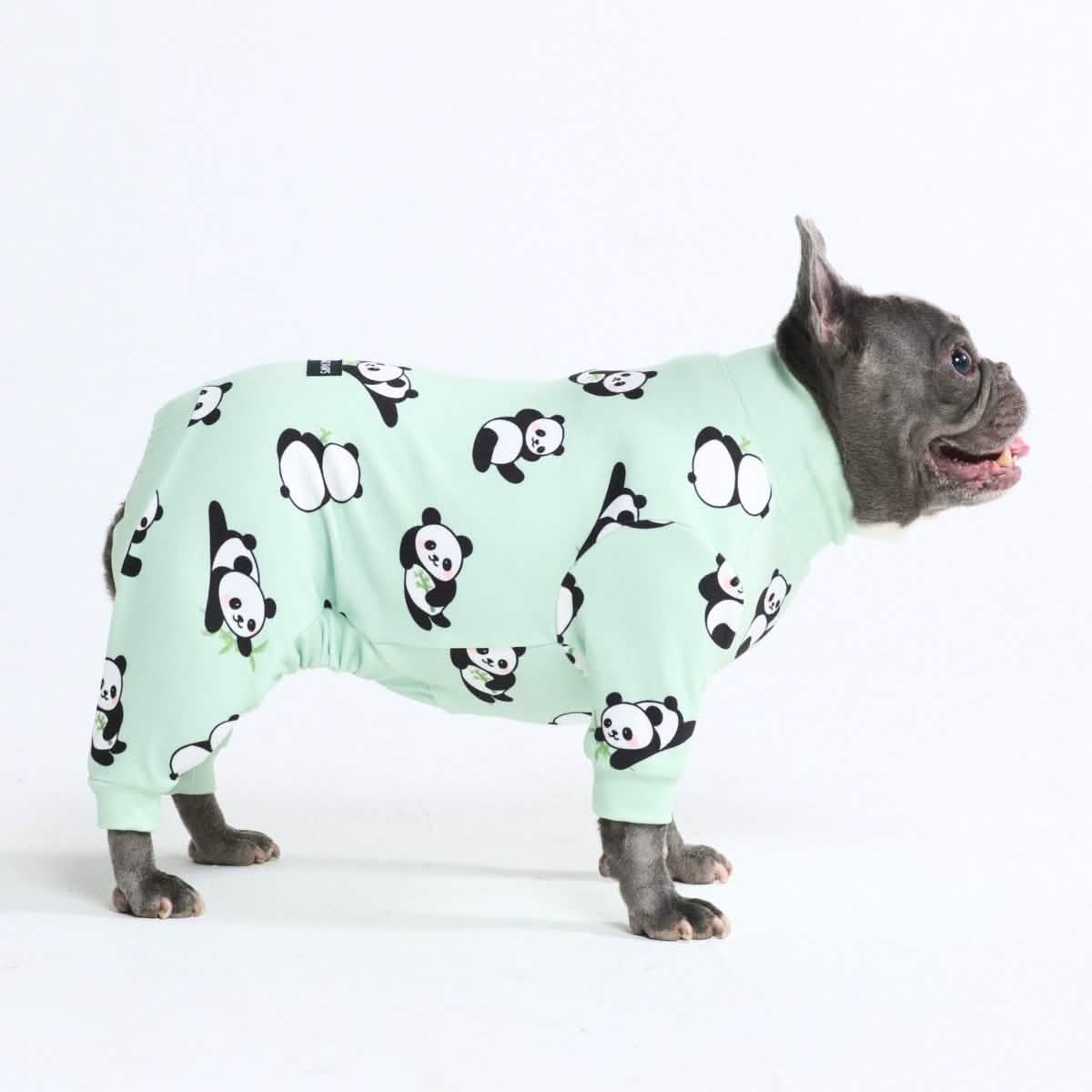 Dog Pajama Prints
