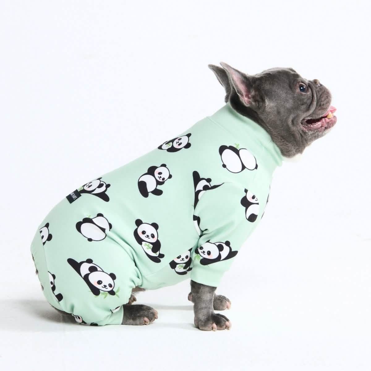 Dog Pajama Prints