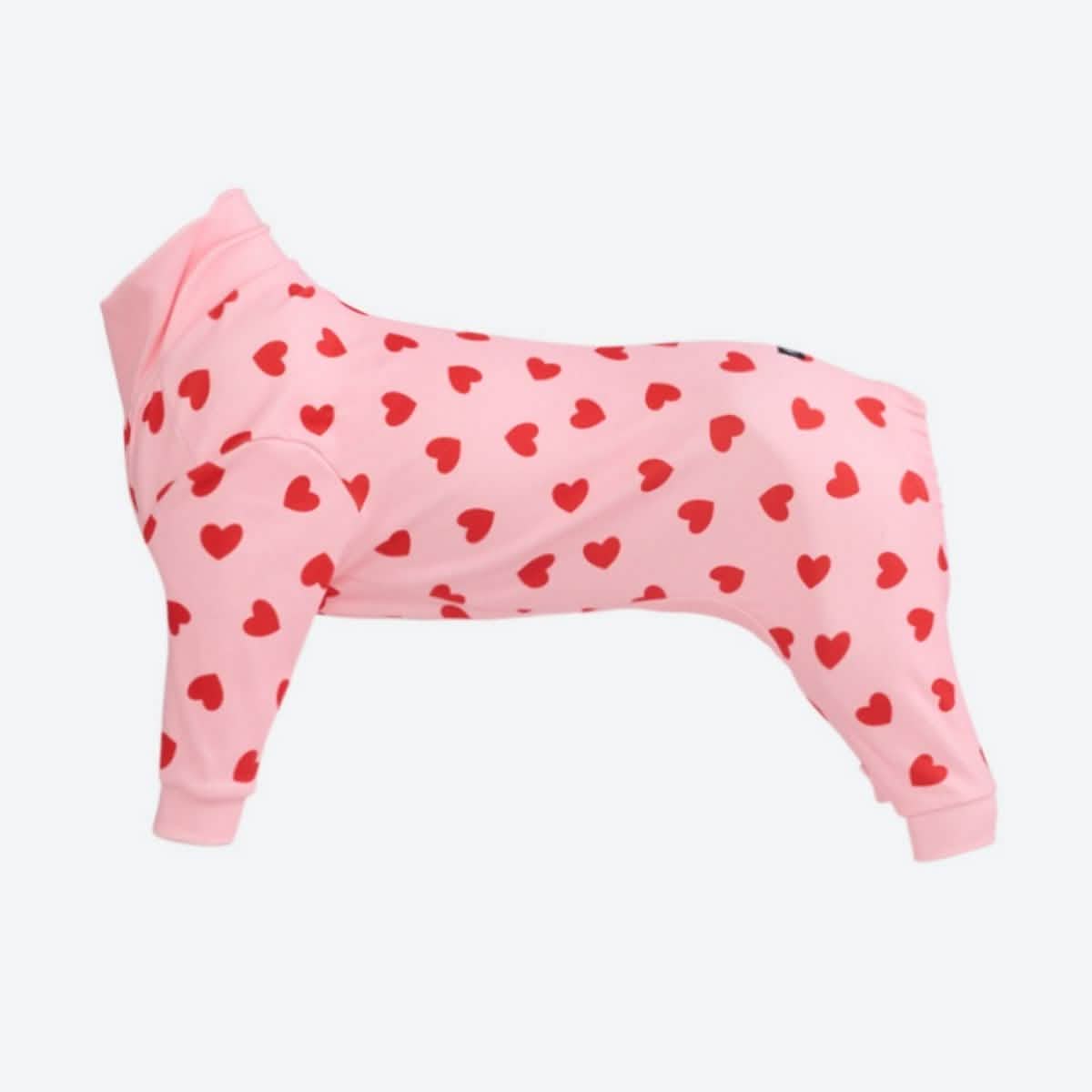 Dog Pajama Prints