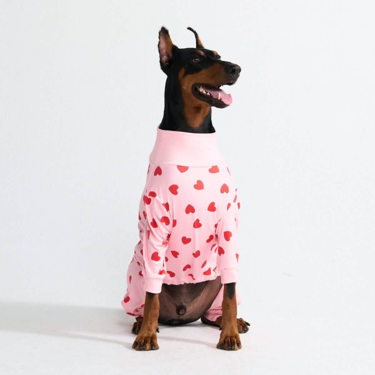 Dog Pajama Prints