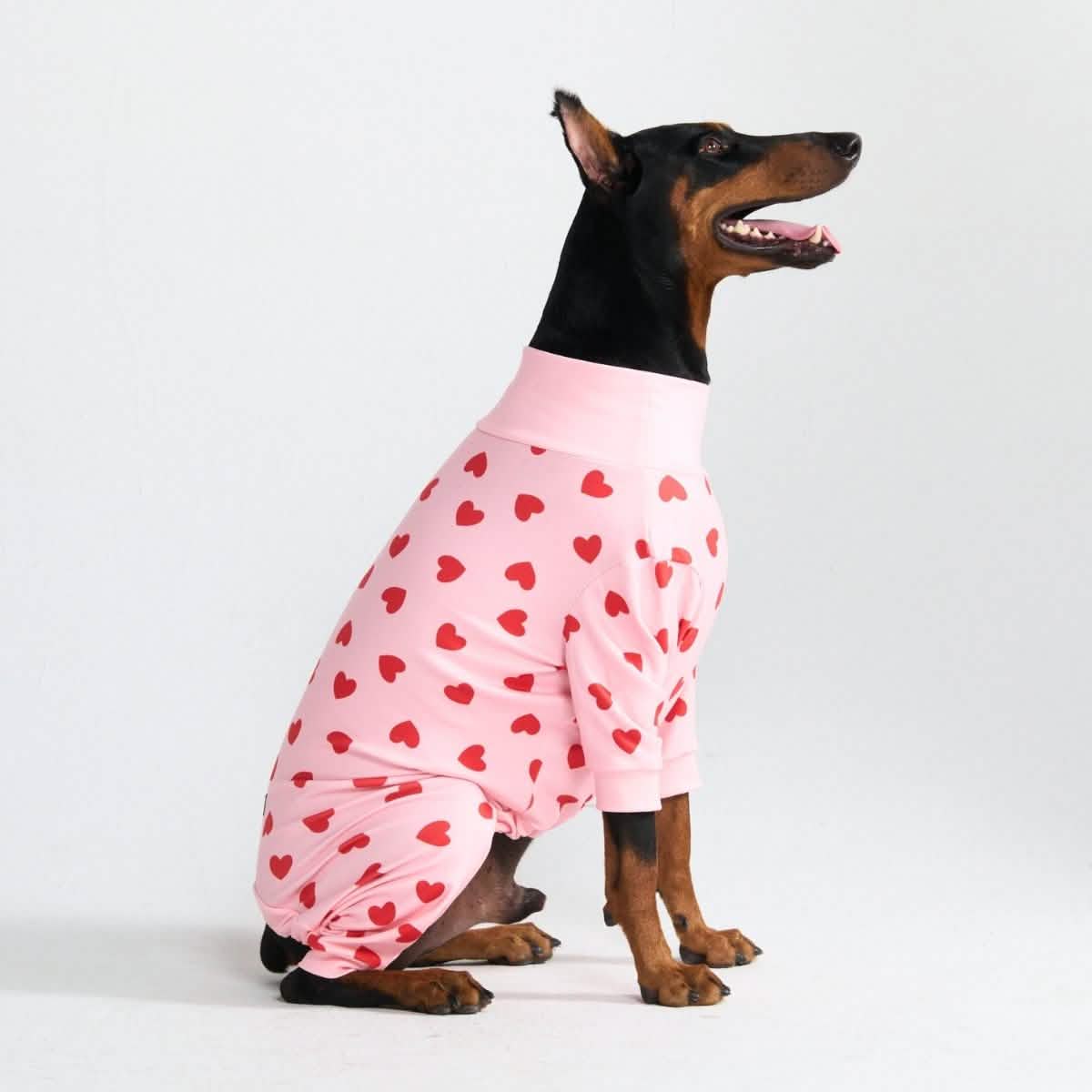 Dog Pajama Prints