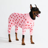 Dog Pajama Prints