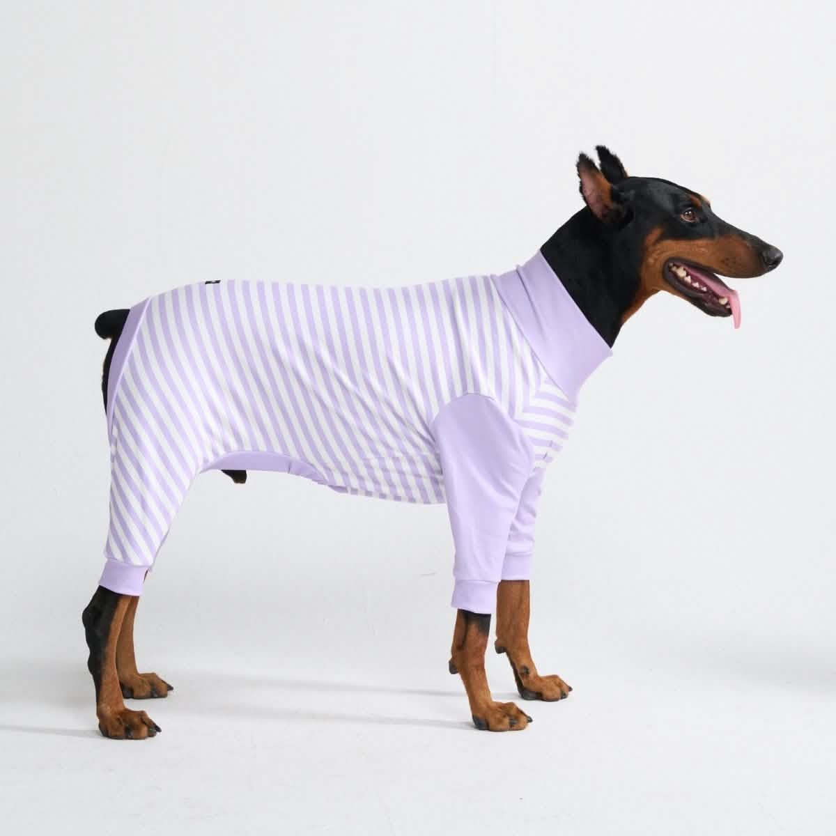 Dog Pajama Prints