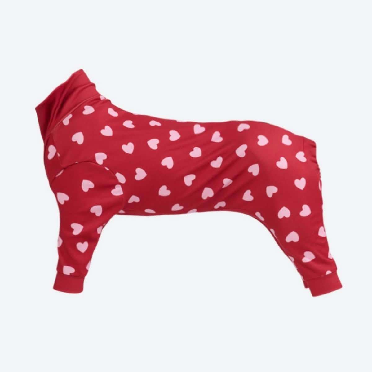 Dog Pajama Prints