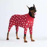 Dog Pajama Prints