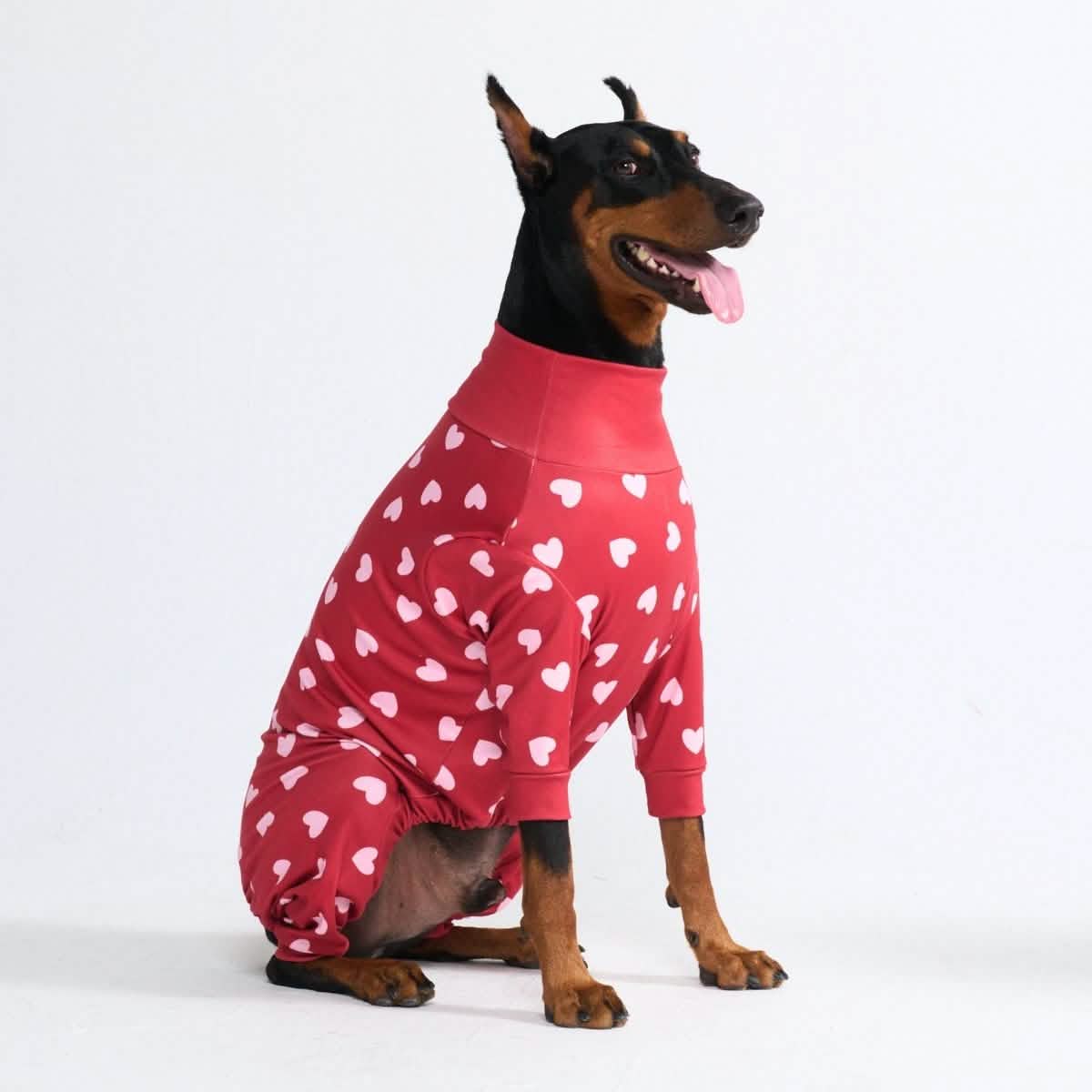 Dog Pajama Prints
