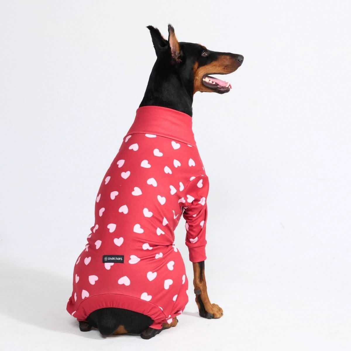 Dog Pajama Prints