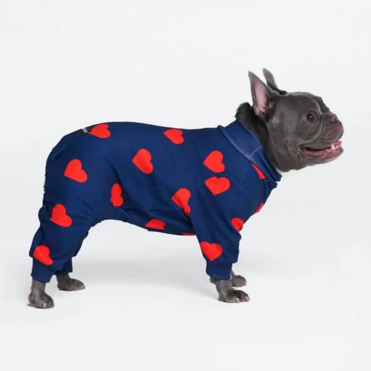 Dog Pajama Prints