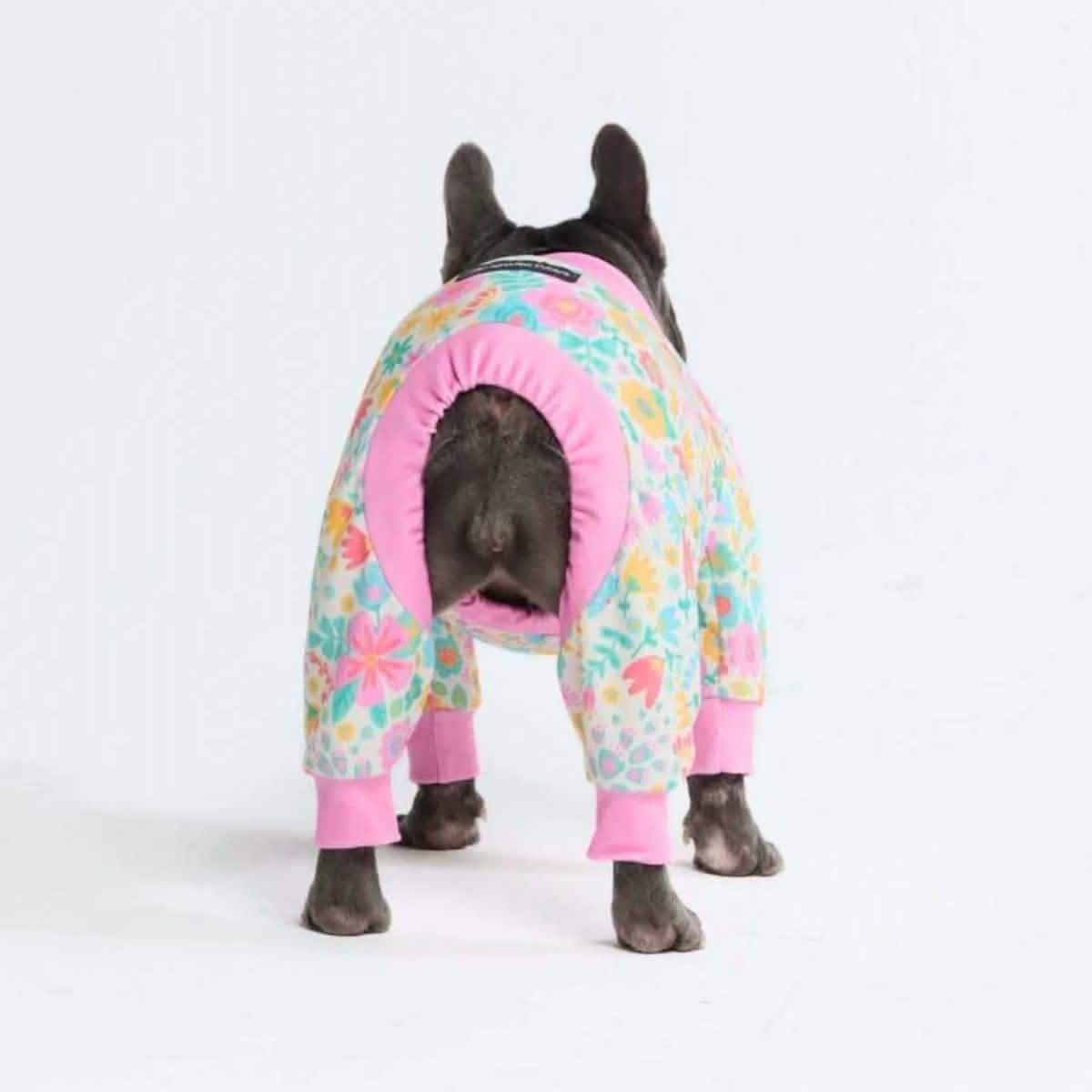 Dog Pajama Prints