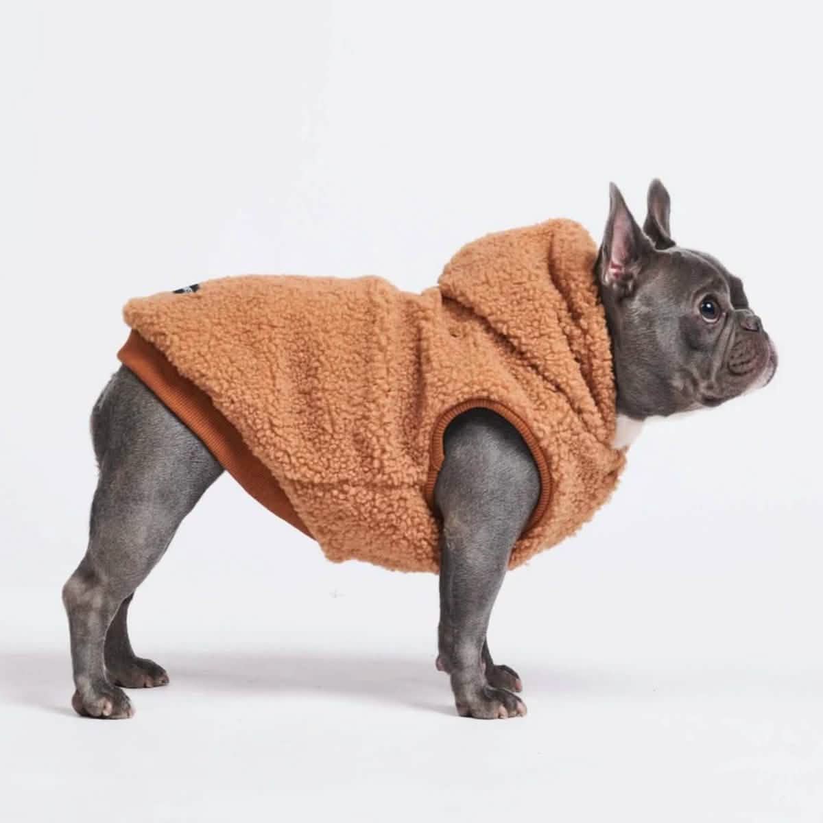 Teddy Sherpa Fleece Dog Sweater - Brown